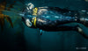 SpearPro Cabrilla Mens Wetsuit - 3mm