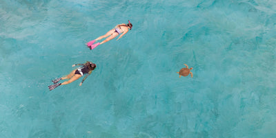 RIFFE - Kicks Rubber Swim Fins - Pitaya